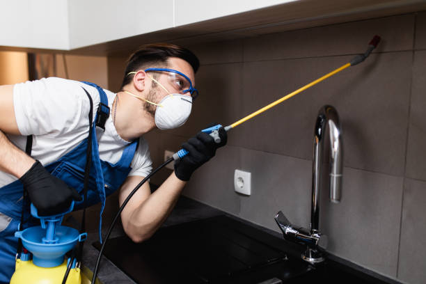 commercial and residential pest control Oahu