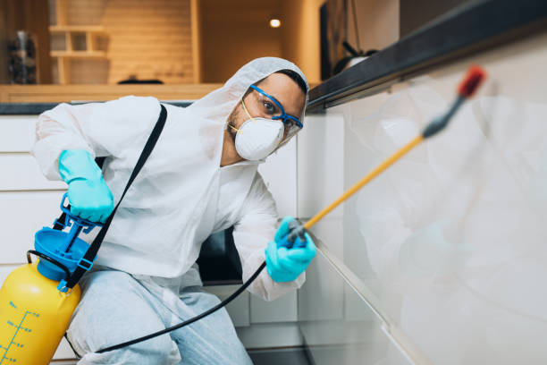 Residential Pest Control Waipahu and Pearl City