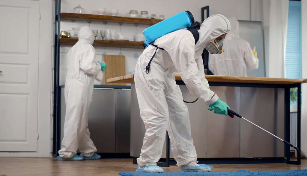 Pest Control Maintenance Plans