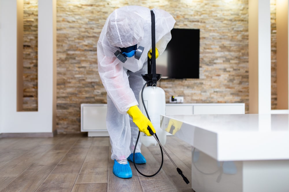 drywood termite treatment