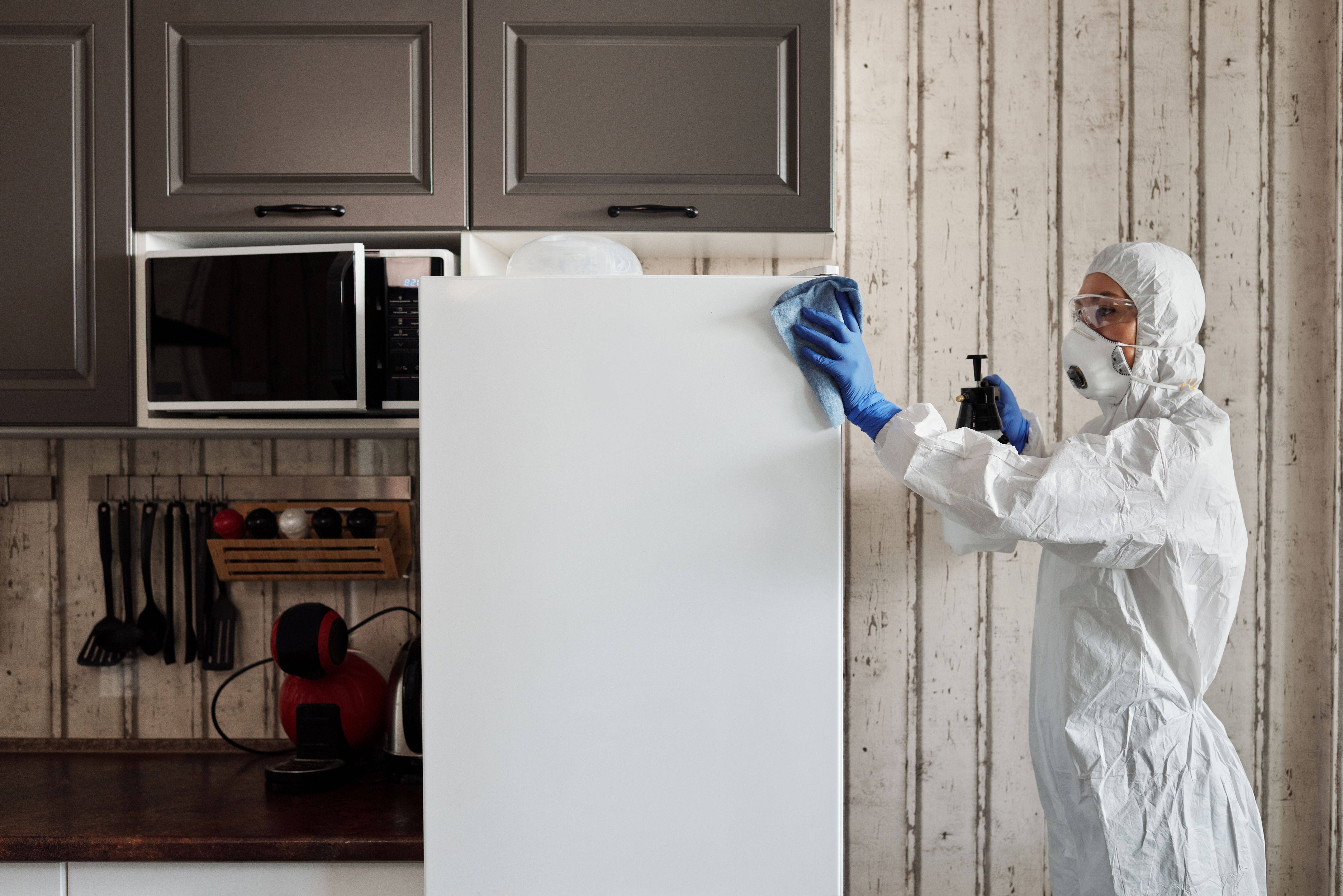 German cockroach pest control