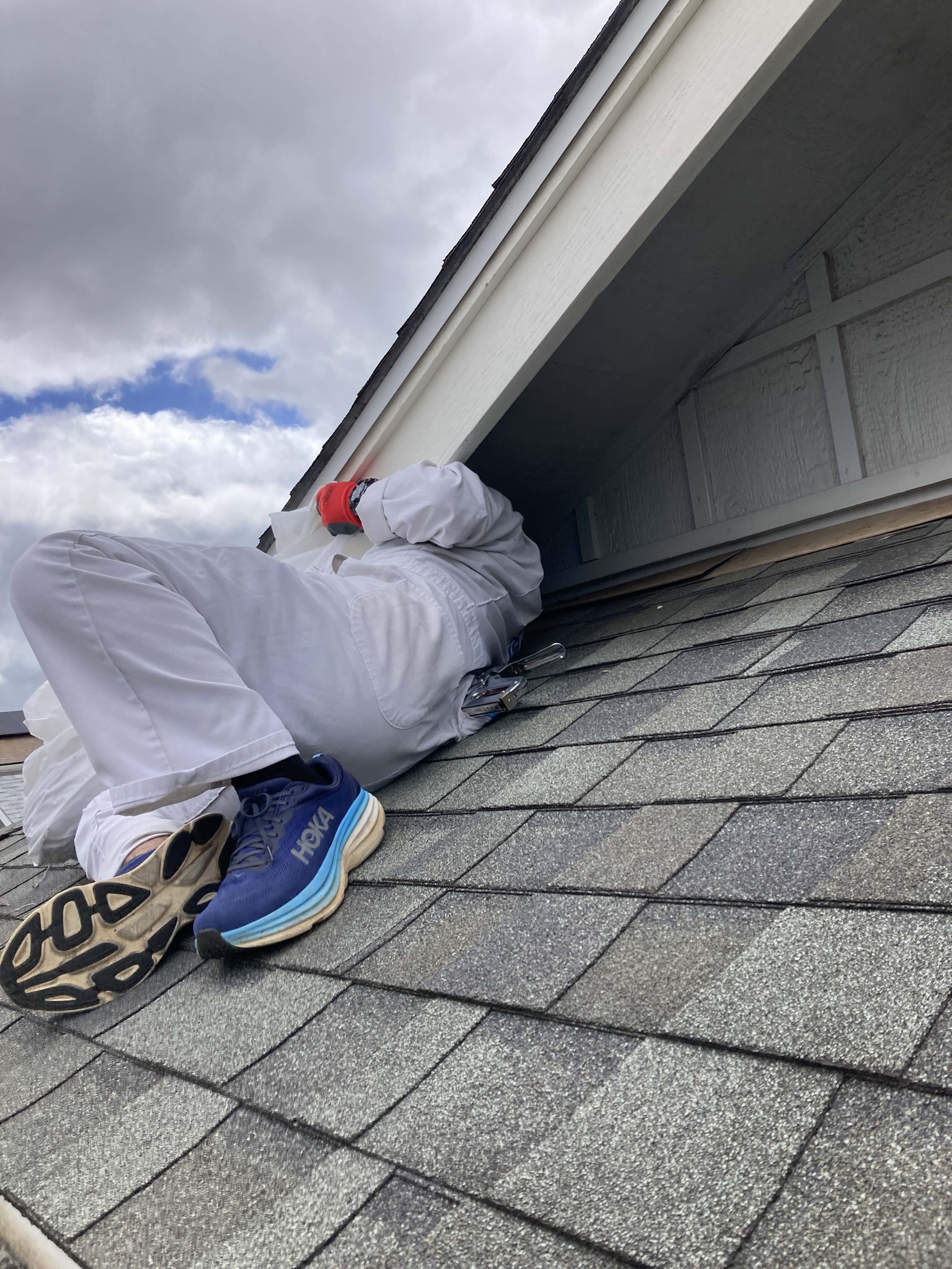 Bird Nest Removal in Hawaii: Why It Matters for Your Home.