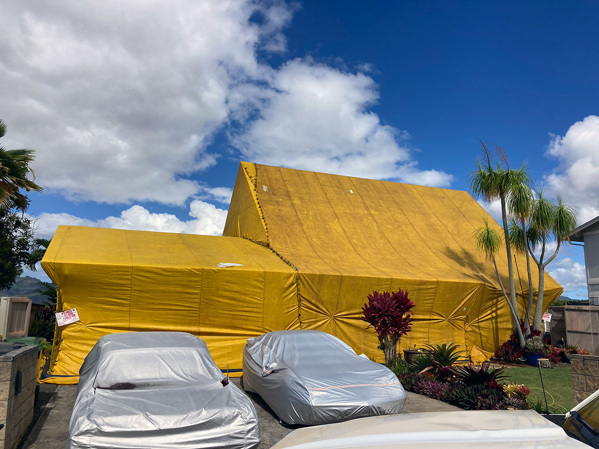 Tent sealed for safe and effective termite fumigation.