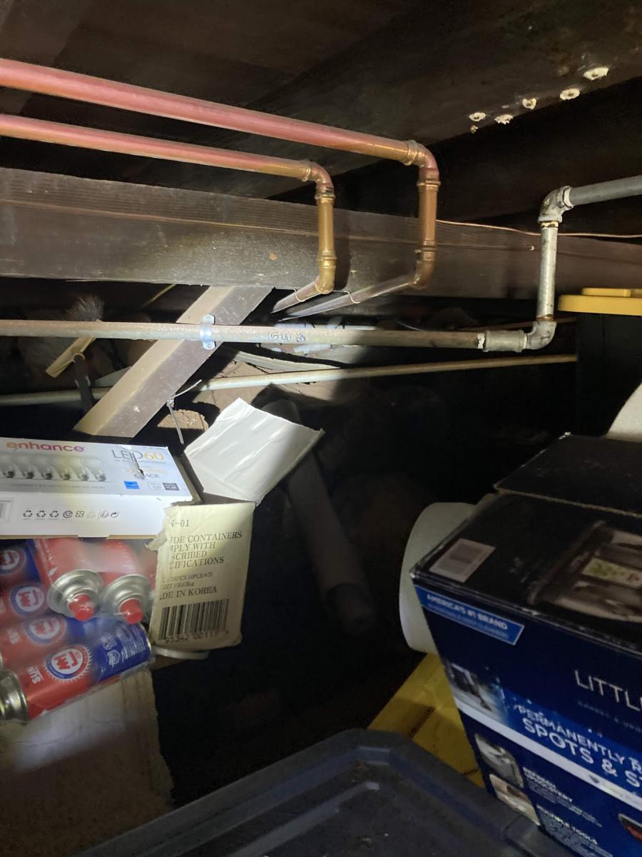 Cluttered Corners: How Untidy Spaces Become Pest Havens