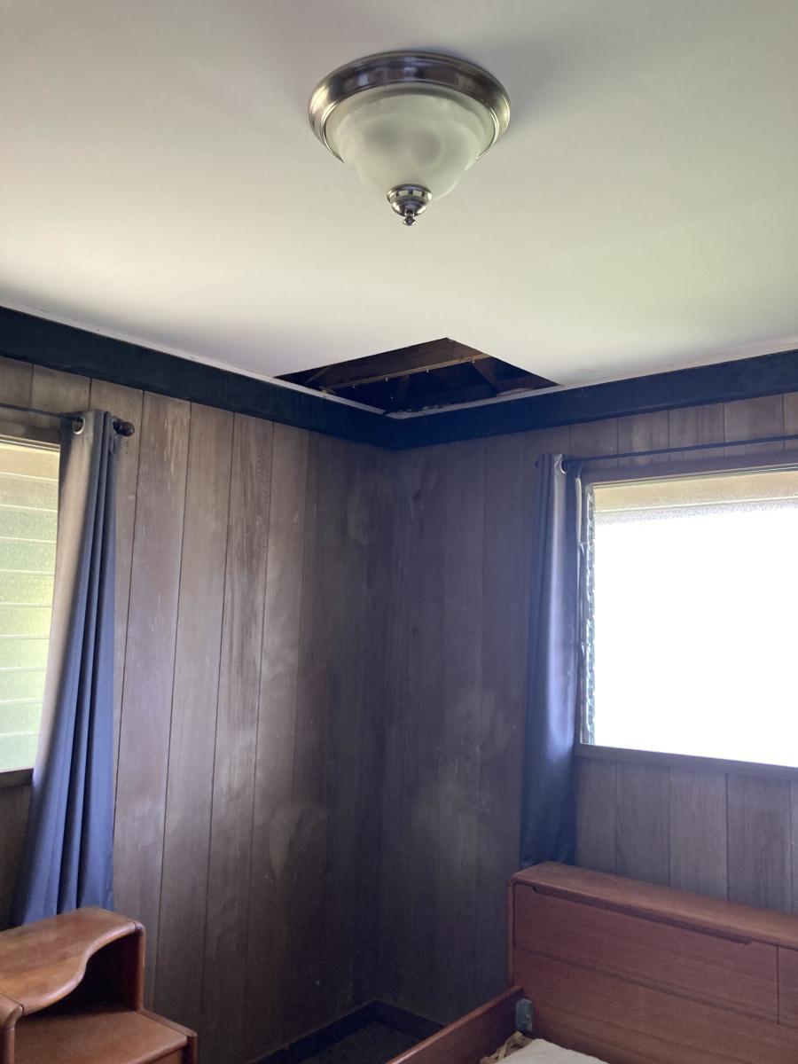 Unwanted Openings: How Gaps in Walls, Ceilings, and Floors Invite Pests