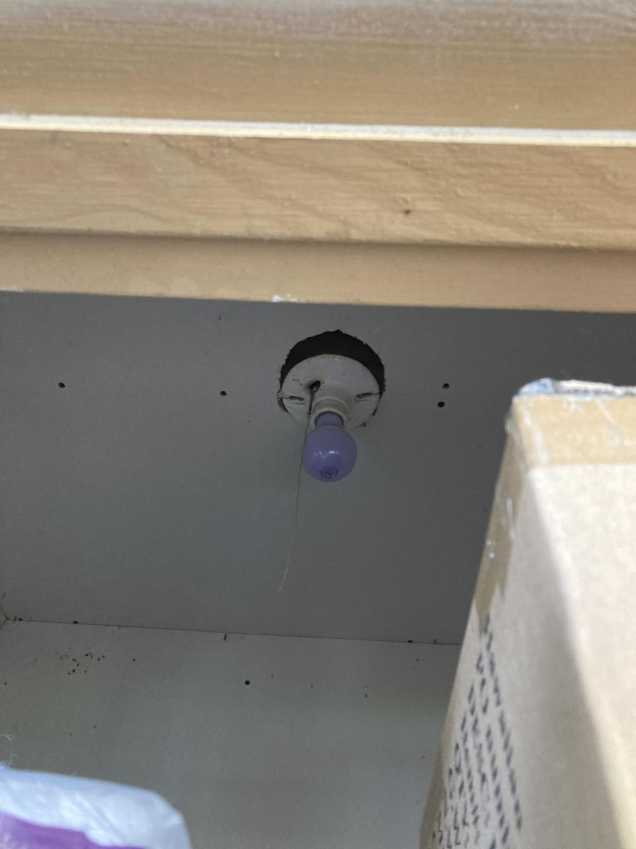 Unwanted Openings: How Gaps in Walls, Ceilings, and Floors Invite Pests