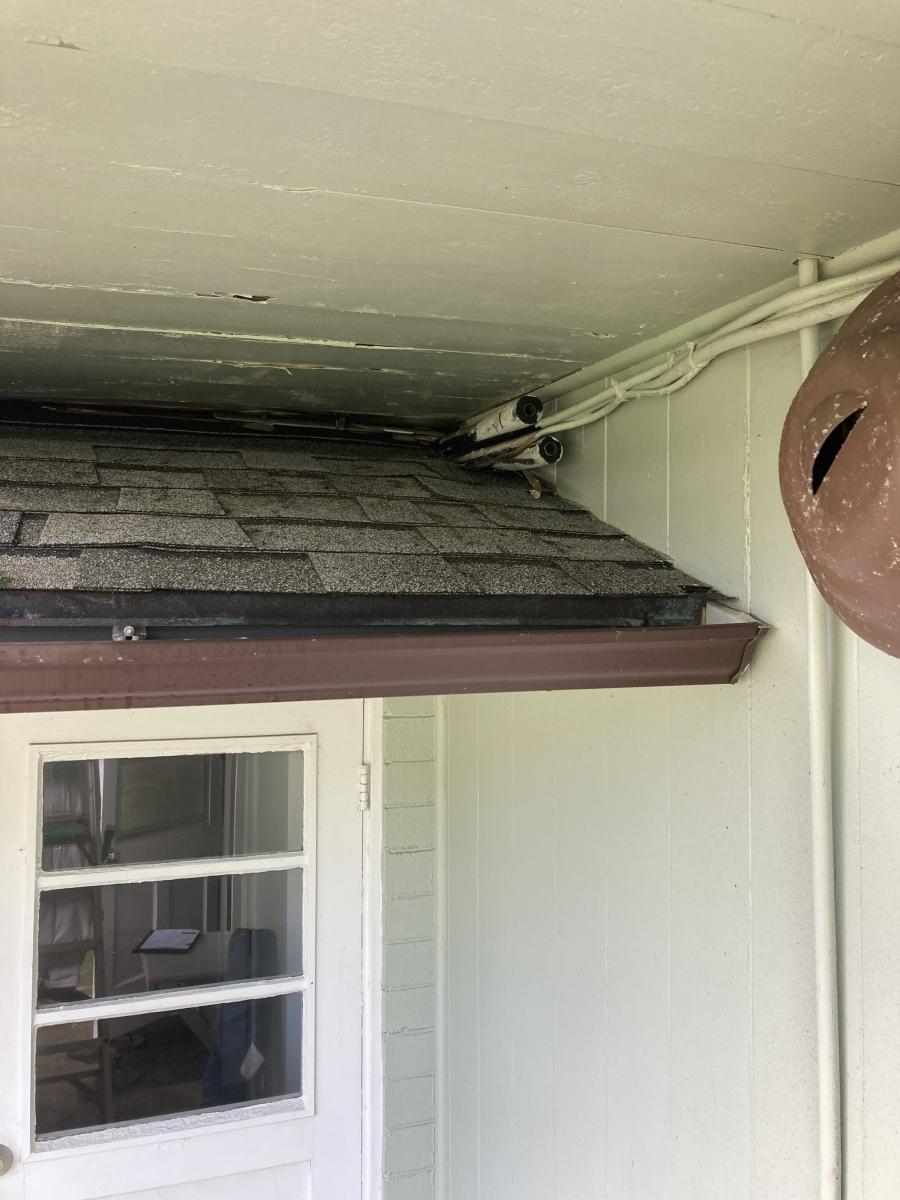Unwanted Openings: How Gaps in Walls, Ceilings, and Floors Invite Pests
