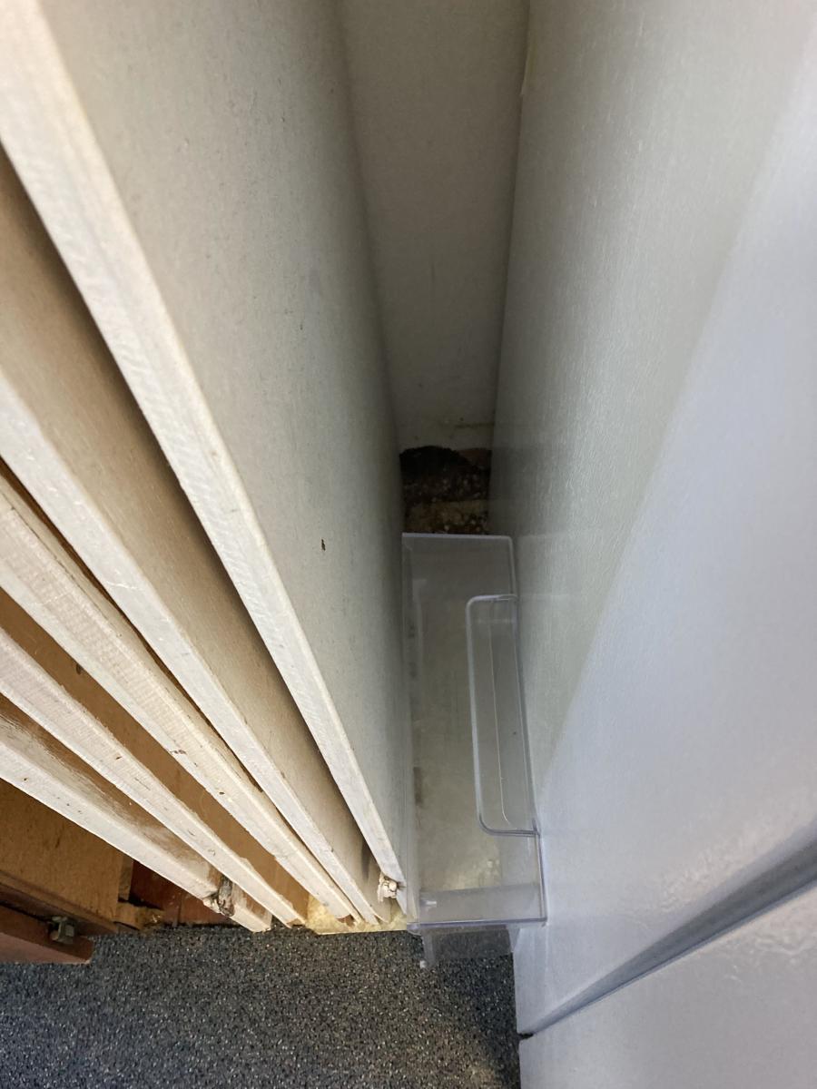 Unwanted Openings: How Gaps in Walls, Ceilings, and Floors Invite Pests