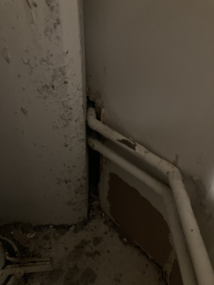 Plumbing Penetrations: Hidden Entry Points for Pests