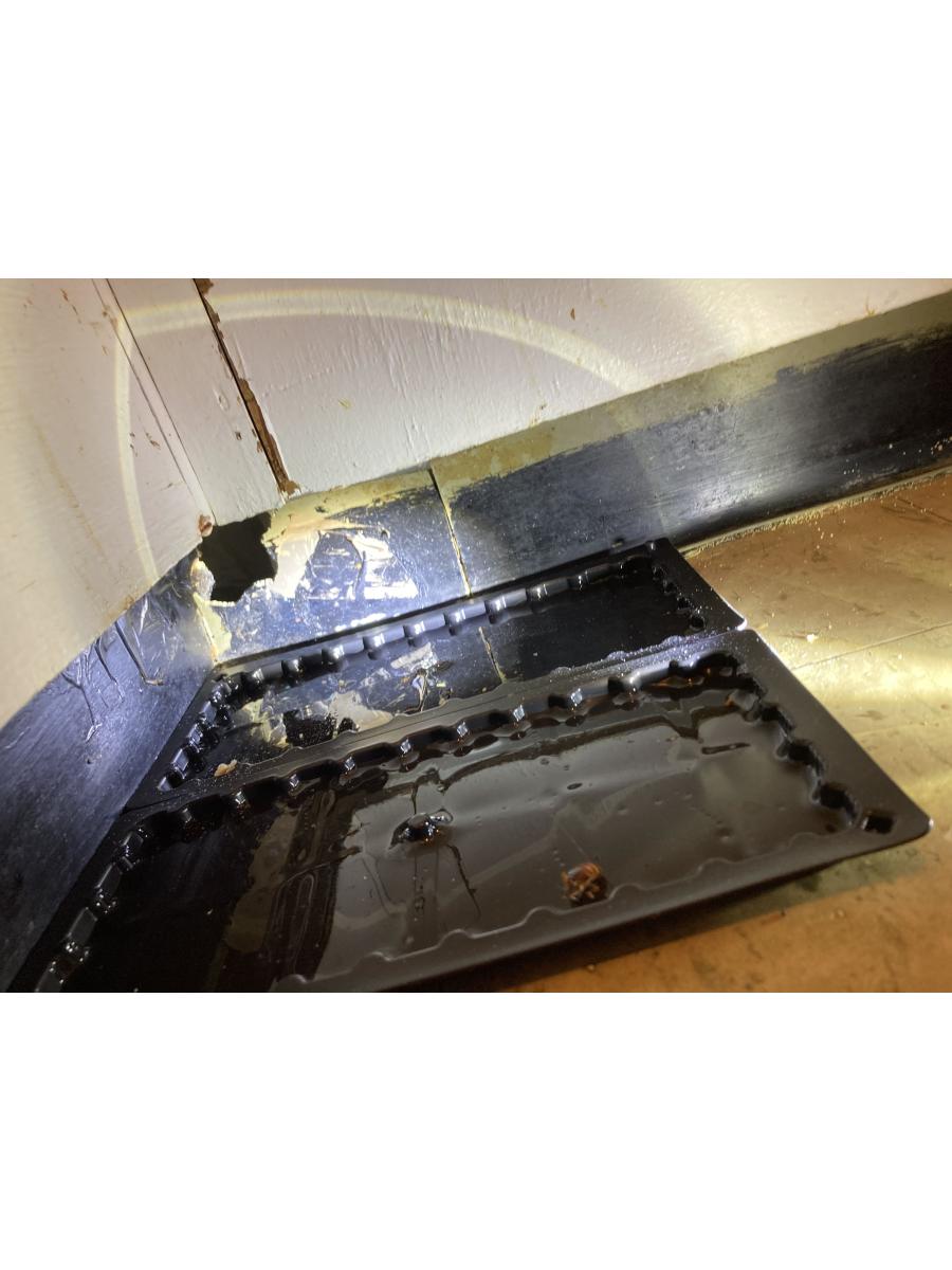 Unwanted Openings: How Gaps in Walls, Ceilings, and Floors Invite Pests