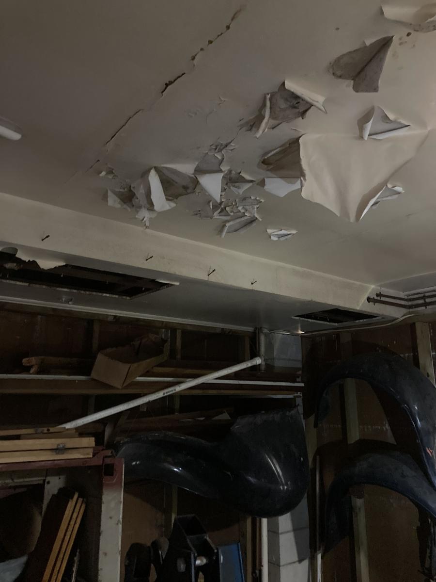 Unwanted Openings: How Gaps in Walls, Ceilings, and Floors Invite Pests