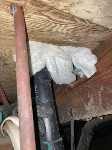 Plumbing Penetrations: Hidden Entry Points for Pests